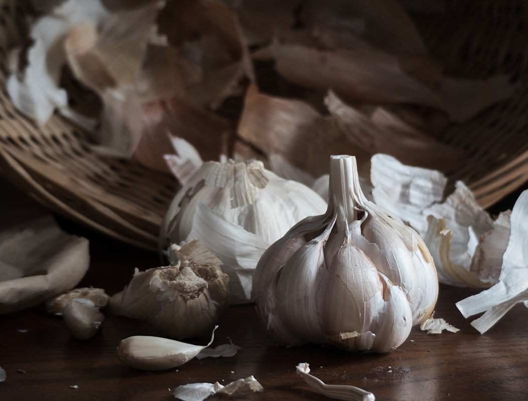 Aglio fresco appena raccolto in un orto biologico