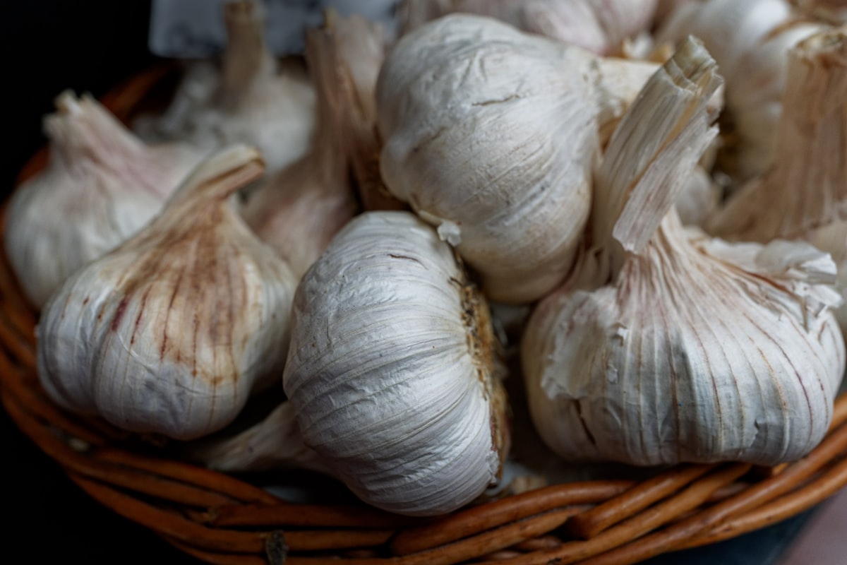 Aglio bianco italiano conservato in cesto
