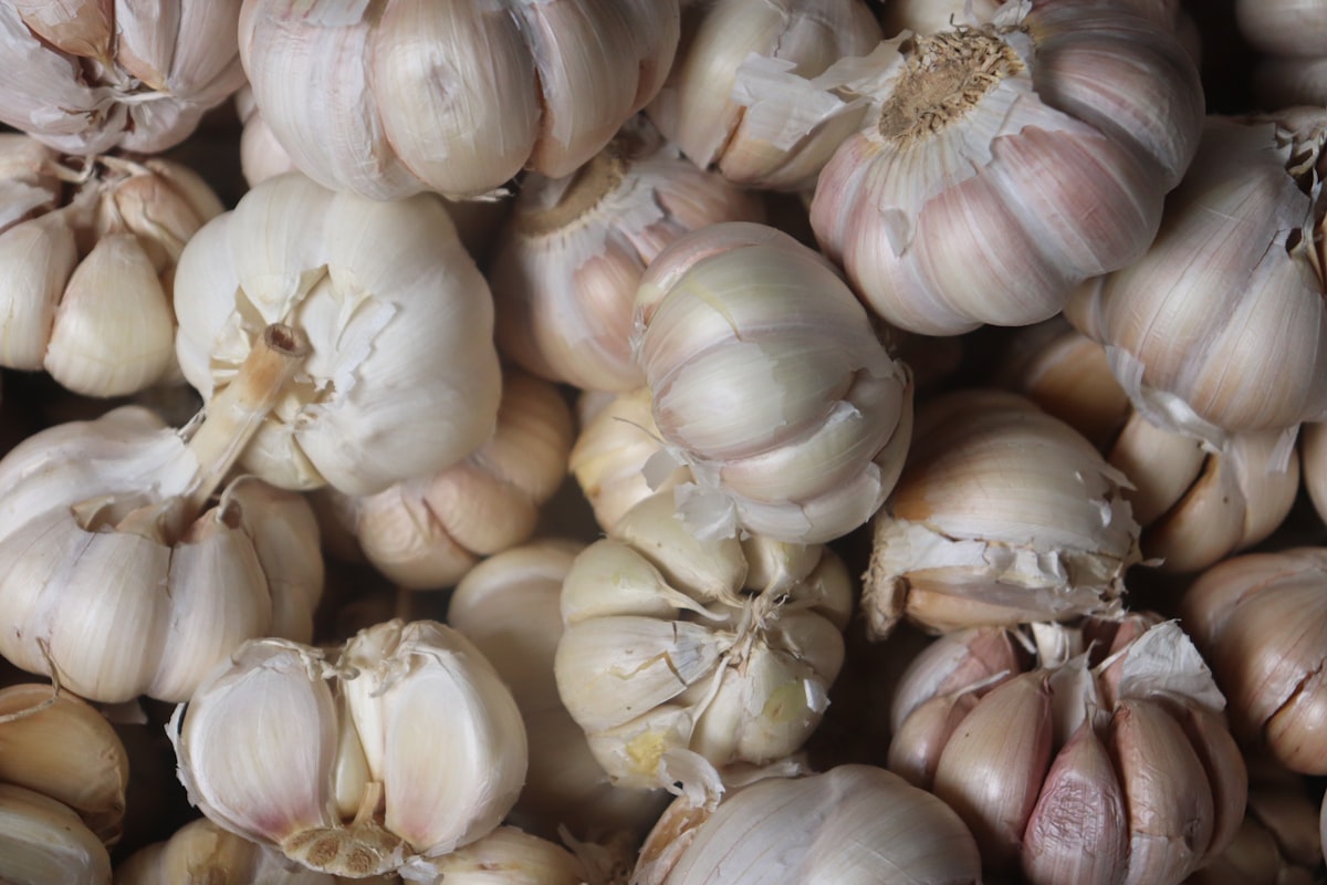 Ricette salutari con aglio come ingrediente principale